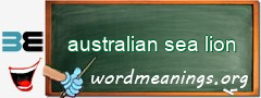 WordMeaning blackboard for australian sea lion